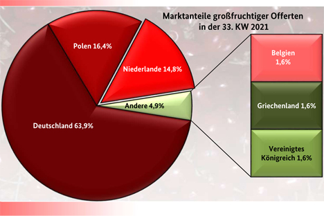 BLE-Marktbericht KW 33 Kirschen:  Grafik