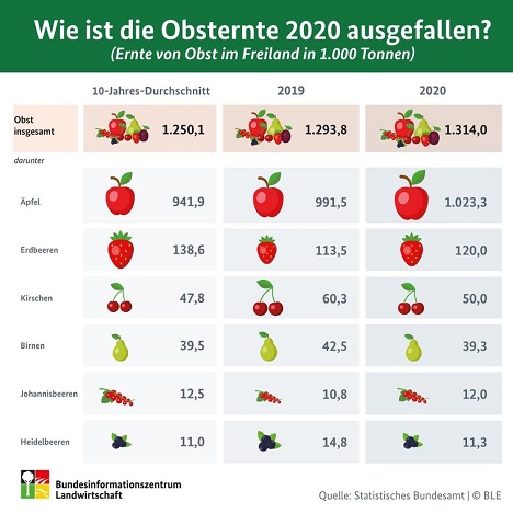 Infografik © BLE