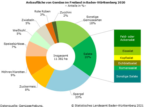 Schaubild 1: Anbaufläche von Gemüse im Freiland in Baden-Württemberg 2020. Foto © Stat BW