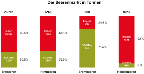 Grafik "Der Beerenmarkt in Tonnen". Foto © SOV 