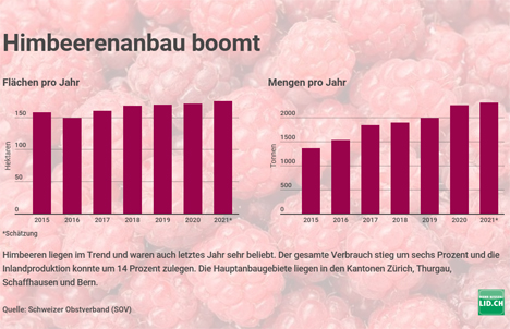 Infografik Foto © Lid