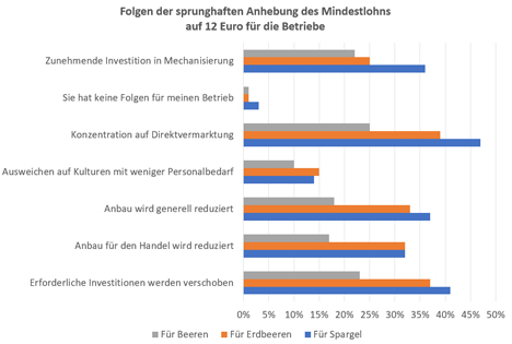 Grafik © Netzwerk der Spargel- und Beerenverbände e.V.