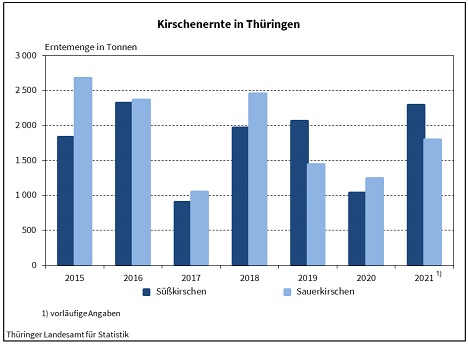 Quelle: Thüringer Landesamt für Statistik