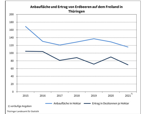 Grafik © Thüringer Landesamt für Statistik