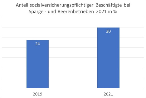 Foto © Netzwerks der Spargel- und Beerenverbände e.V.