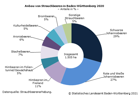 Foto © Statistisches Landesamt Baden-Württemberg