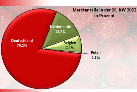 Grafik BLE-Marktbericht KW 28/ 22