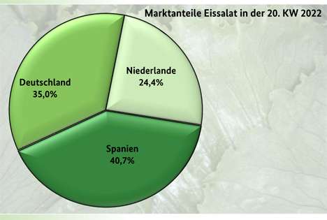 Grafik BLE-Marktbericht KW 20/ 22 Salat