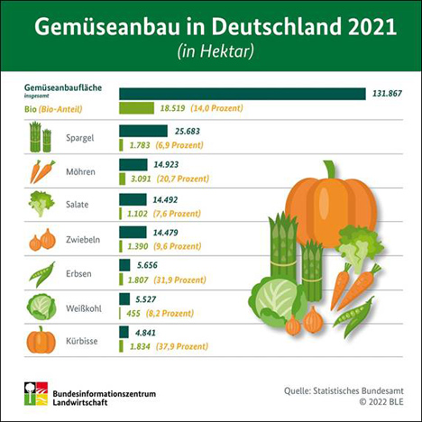 Infografik: Quelle BLE