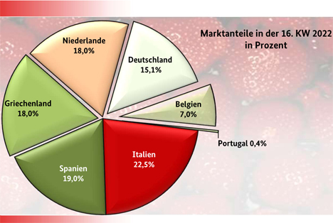 Grafik Erdbeeren BLE-Marktbericht KW 16/ 22 