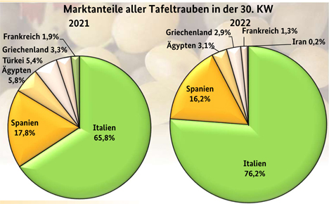 Grafik BLE-Marktbericht KW 30: Italienische Tafeltrauben 