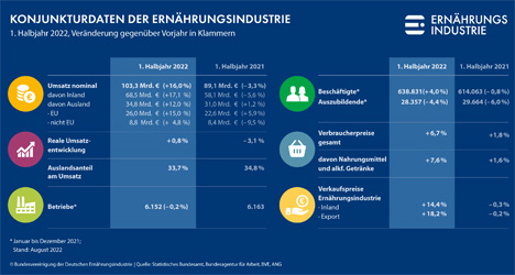 Infografik - BVE Halbjahresbilanz Statistik-2022-August. Quelle: BVE