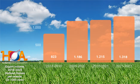 Grafik © Holland Onions