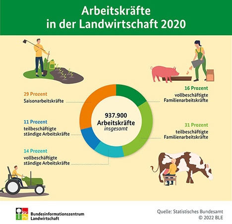 Infografik. Quelle: BLE