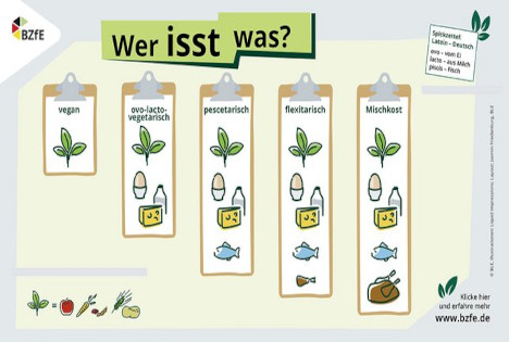 BZfE-Infografik