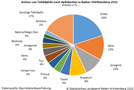 Grafik. Quelle: Statistisches Landesamt Baden-Württemberg