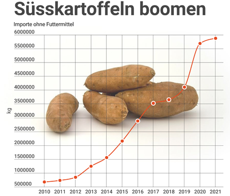 Infografik Süsskartoffel-Import. Quelle: EZV, Swissimpe