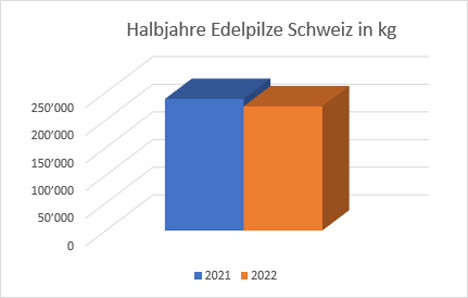 Quelle: Statistik VSP Januar – Juni 2022