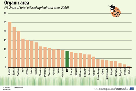 Infografik Quelle: Eurostat