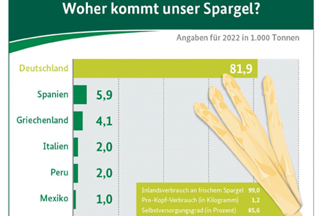 In Deutschland wurde 2022 weniger Spargel* gegessen als in den Vorjahren