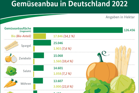 Infografik: Gemüseanbau in Deutschland 2022