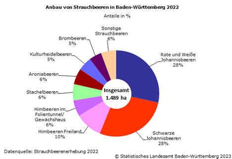 Grafik Quelle Statistisches Landesamt Baden-Württemberg