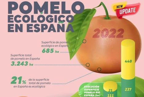 Spanien weltweit führend bei Anbaufläche für biologische Zitronen und Grapefruit