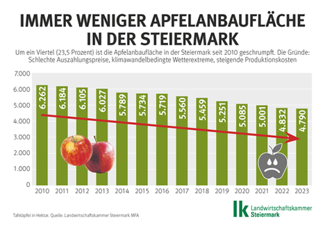 GRafik © LK Steiermark-Pfeiler