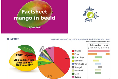 Faktenblatt Mango: eine der am häufigsten gegessenen Früchte in den Niederlanden