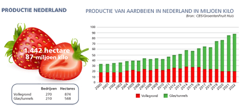 Foto © GroentenFruit Huis