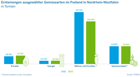 Grafik © IT.NRW