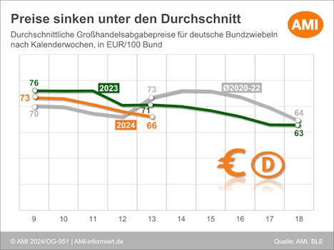 AMI Grafik Bundzwiebeln