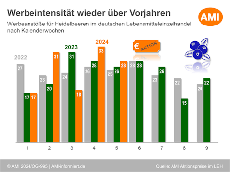 AMI Heidelbeeren