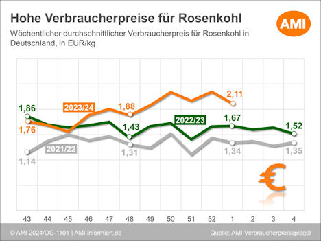 Hohe Vrebraucherpreise Rosenkohl