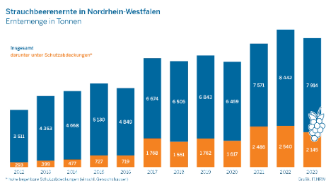 NRW: Strauchbeerenernte lag 2023 um 6,3 Prozent unter der Rekorderntemenge von 2022