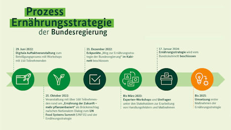 DFHV: Schöne Worte, sonst nur Steine in den Weg gelegt