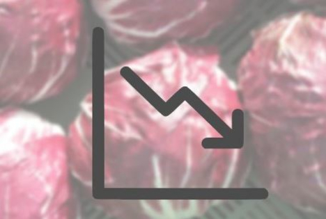 Schweiz: Erntemengen von Cicorino Rosso gehen zurück