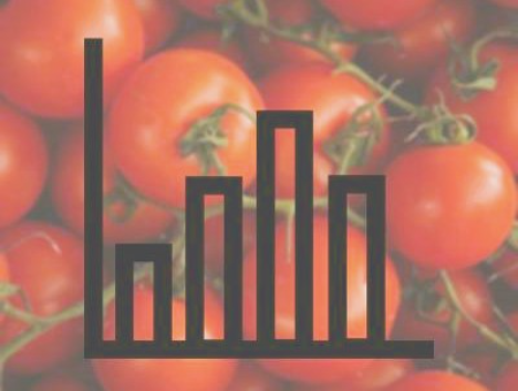 Schweiz: Produktion der Cherrytomaten hat sich verdoppelt