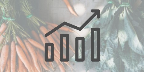 Schweiz: Die Bio-Landschaft 2024