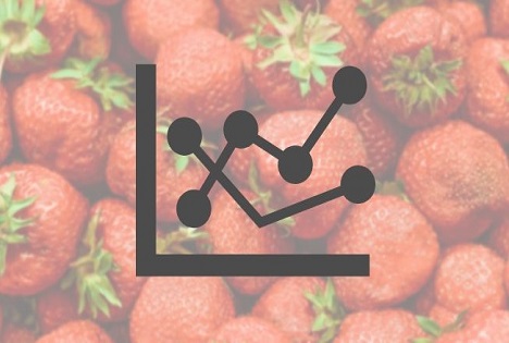 So wachsen die Schweizer Erdbeeren