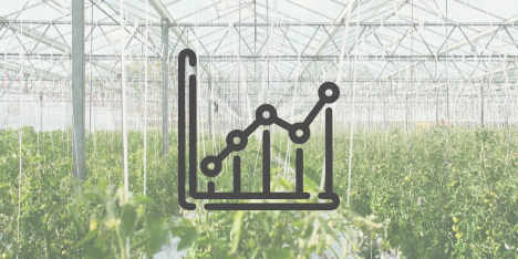 Schweiz: Die Gewächshausfläche wächst
