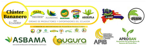 Cluster Bananero del Ecuador Logos