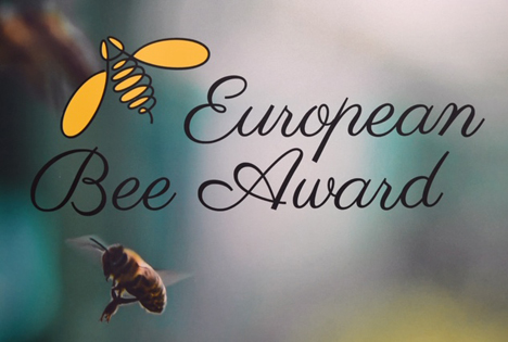 Wildbienen-Projekt am Bodensee erhält den European Bee Award