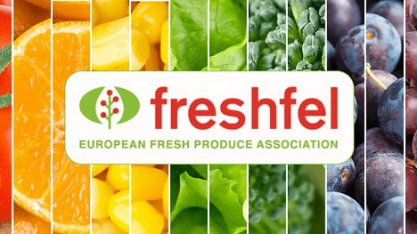 Freshfel Europe: „Noch ein weiter Weg bis zum Erreichen der Mindestempfehlung von 400 g Obst und Gemüse pro Tag“