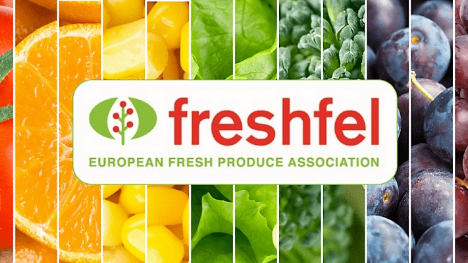 Freshfel Europe ist verblüfft über die Eskalation der politischen Inkohärenz bezüglich EU-Verpackungen