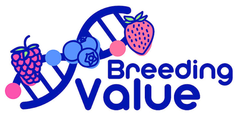 Logo des EU-Projekts BreedingValue Start 2021. © JKI