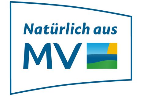 Logo Regional MV