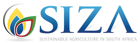 Siza Logo