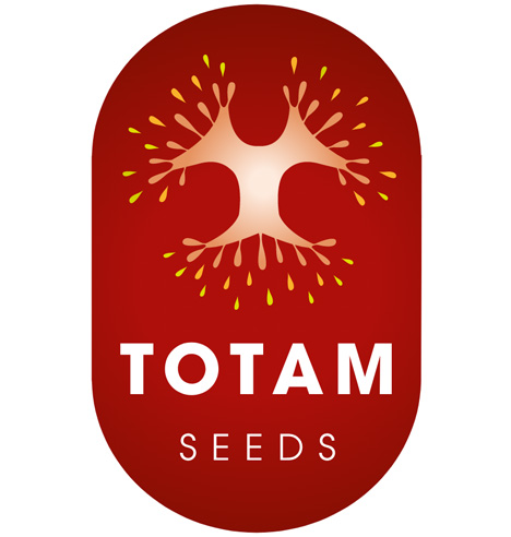 Foto © Totam Seeds