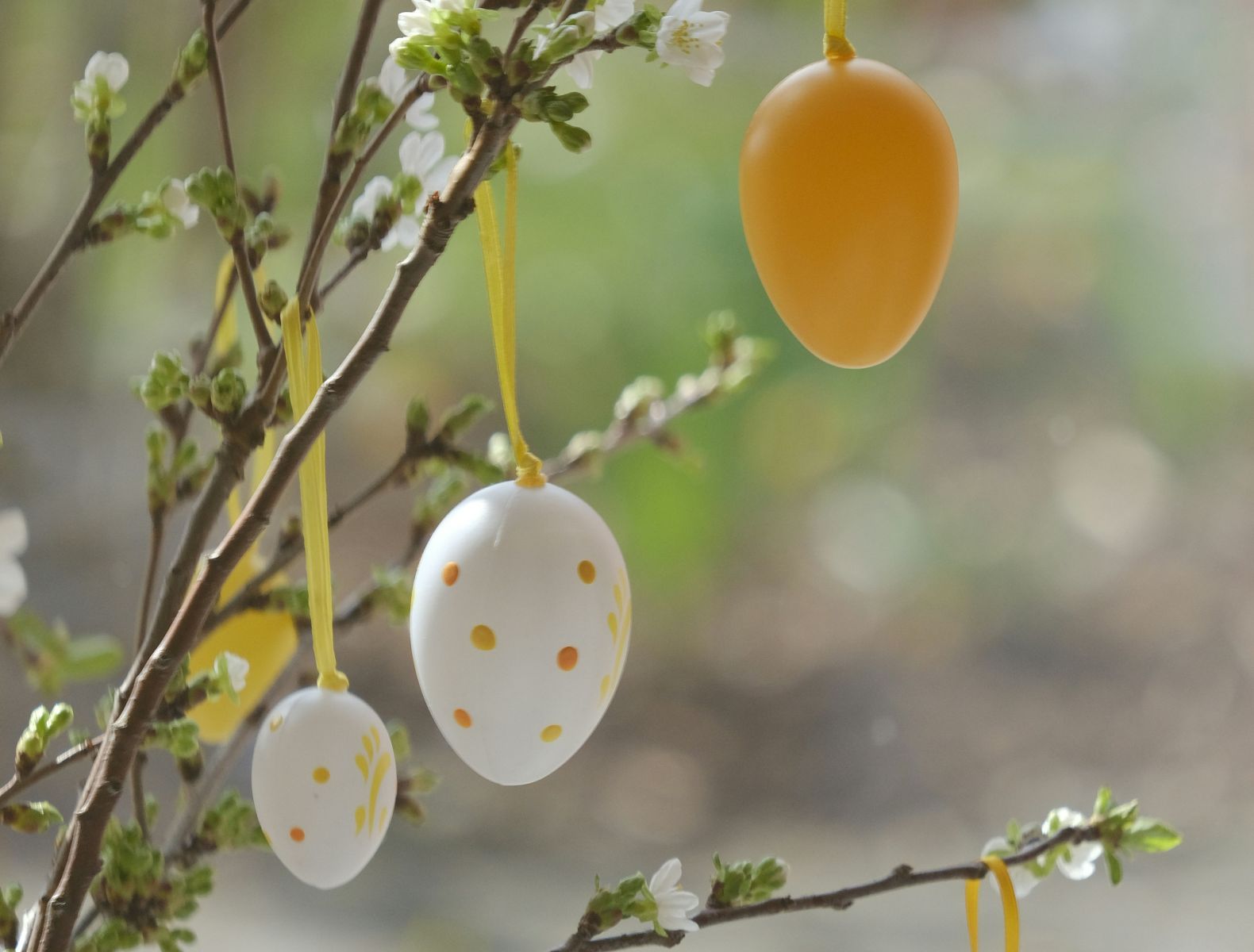 Fruchtportal wünscht frohe Ostern!